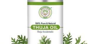 Thuja Essential Oil