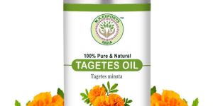 Turmeric Leaf Essential Oil