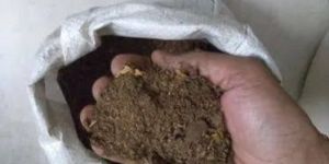 Cow Dung Powder