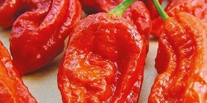 Ghost Pepper