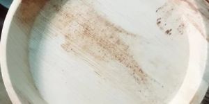 Disposable Areca Leaf Plates