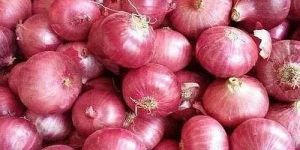 Nashik Pink Onion