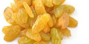 Yellow Dried Raisins
