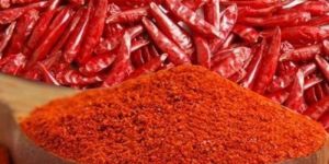 Chilli Powder