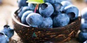 Frozen Blueberry
