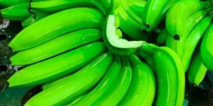 Green Banana