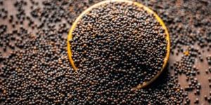 Mustard Seeds
