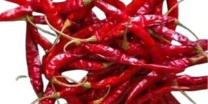 Red Chili