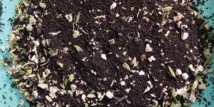 Masala Flavoured Tea