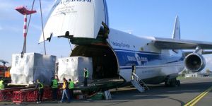 Ocean Freight Forwarding Services