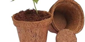 Coconut Coir Pot