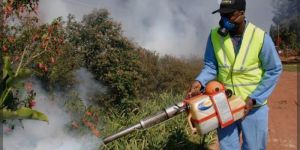 Mosquito Control Fogging Service