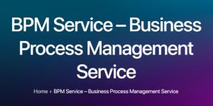 Business Consultant Services