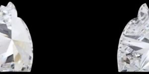 0.5 Carat Horse Cut Labgrown Diamond