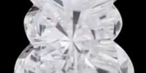 0.5 Carat Rabbit Cut Labgrown Diamond