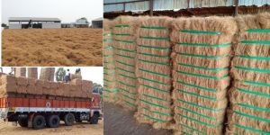 Coir Fibre Bales
