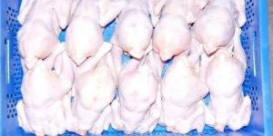 Frozen Whole Chicken