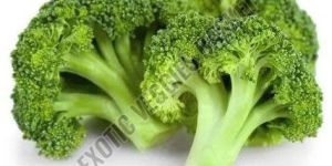 Fresh Broccoli