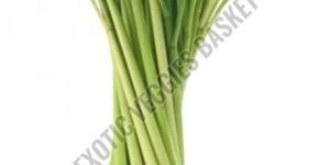 Lemongrass Herb