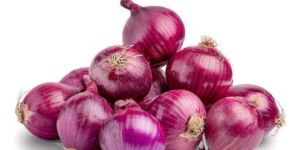 Onions