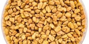Organic Fenugreek Seeds