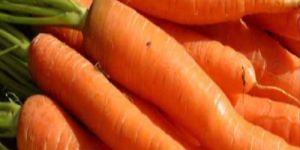 a Grade Fresh Carrot