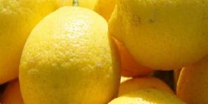 a Grade Fresh Lemon