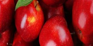 A Grade Fresh Red Apple