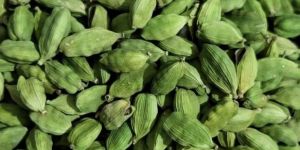 a Grade Green Cardamom