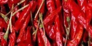 Guntur Red Chilli