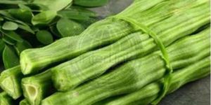 Green Drumstick Powder