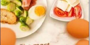 Farm Fresh Brown Eggs