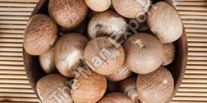 Dried Areca Nuts