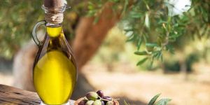 POMACE OLIVE OIL