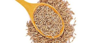 Cumin Seeds