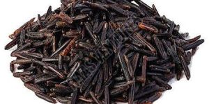 Black Wild Rice