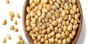 Coriander Seeds