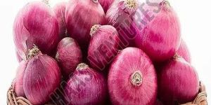 Fresh Big Red Onion