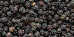 Black Pepper