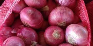Red Onion