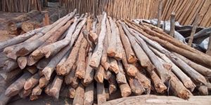Wooden Poles