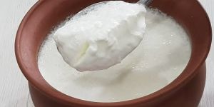 Curd