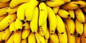 Bananas
