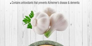 Dehydrated Garlic Powder