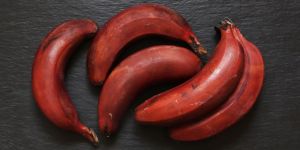 Organic Green Banana Powder