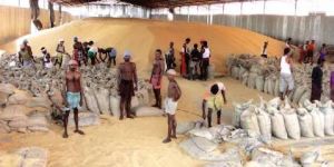 Prefab Steel Temporary Break-Bulk Terminals Rental Service, in Pan India