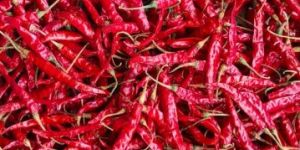 Guntur Teja S17 Deluxe Dry Red Chilli