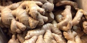 Karbi Ginger