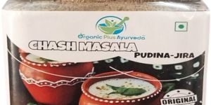 250gm Pudina Jeera Chaas Masala Powder