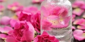 Rose Water